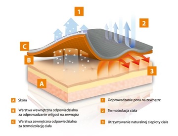 Brubeck Толстовка женская THERMO синяя XL