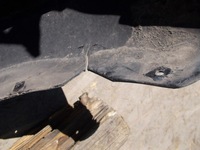 фото thumb №14, Бампер перед передний bmw 2 ii f45 active tourer