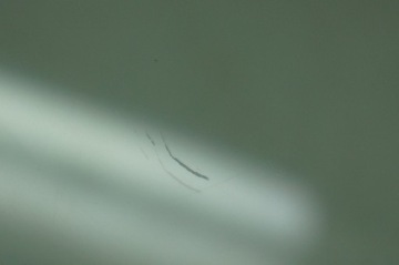 фото thumb №5, Mini r55 clubman скло двері бічна задня права