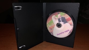 Распечатка DVD-диска емкостью 4,7 ГБ с обложкой.