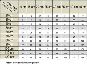 Вешенка ERYNGII MYCLE НА СПИКЕРНОМ мицелии