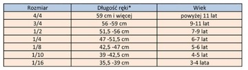 SANDNER RV-1 СКРИПКА 4/4 + Футляр + Смычок