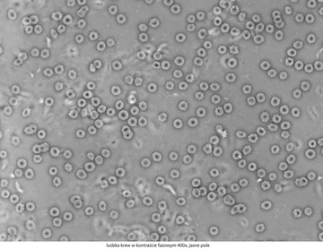 Микроскоп Delta Optical Genetic Pro Mono