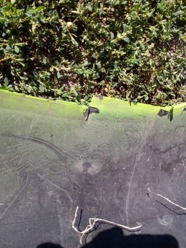 фото thumb №7, Бампер перед renault trafic iii 14- nissan nv300