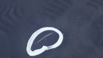 фото thumb №11, Bmw e87 lci накладка молдинг порог левый tiefseeblau