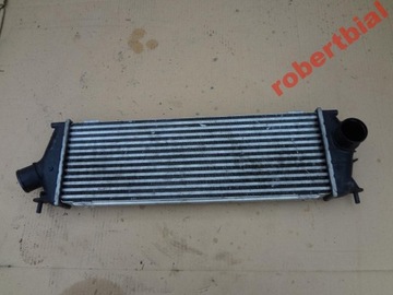 Trafic ii vivaro 2.0 dci интеркулер 8200411160 фото №1