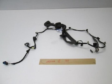 Джгут установка двері праві зад laguna iii фото №1