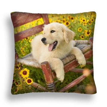 Cushion dog 05 jas 40x40 pillowcase chair flowers 60x60, фото