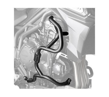Arcs gsf bandit 1200 gsx | protection motor, фото