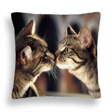 Minky great 50* 50 cushion cats 21 noses pillowcase liner, фото