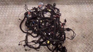 Wiring electric ferrari 458 salon+ ass 1, фото