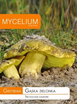 Goose green mycelium mushrooms forest mycelium, фото
