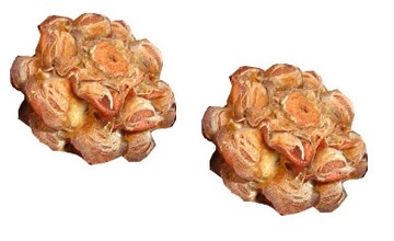 Bump roses cones rose dryer exotic 2 pieces, фото