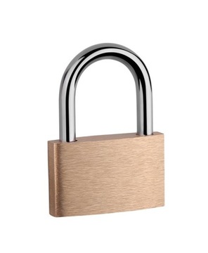 Pad brass kd20 lob switching 2 keys, фото
