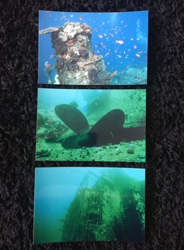 Bumper fishes diving wraki ships 3 pieces, фото