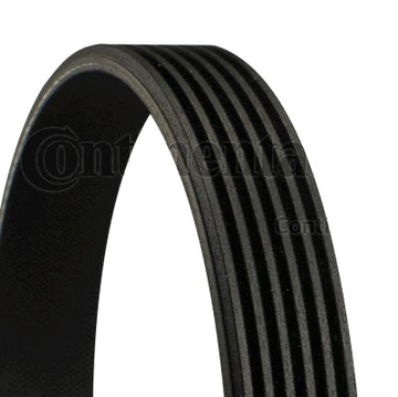 Contitech strap polyclinic bmw e46 318d 320d 150, фото