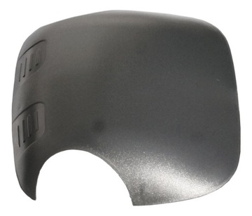 Cover mirror small hull mirror lateral small protection mirrors mirror, фото