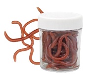 KONGER ИСКУССТВЕННЫЙ ДОЖДЕВОЙ ЧЕРВЬ С АРОМАТОМ JAR