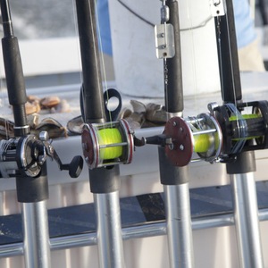 Zębatka Shimano 44 - Niska cena na Allegro