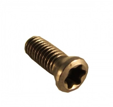 Śruba mocująca zaciskowa nóż tokarski M2.5 x5 torx