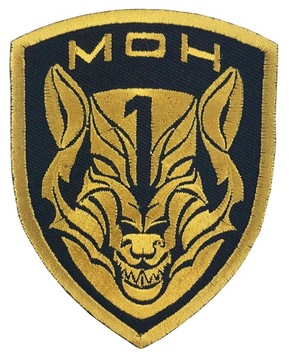 Naszywka na rzep Medal of Honor MORALE PATCH