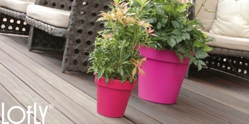 фото ориг. №2, Flowerpot prosperplast 16 centimeters x 16 x 14, 5 centimeters diameter 16 centimeters plastic shades of orange