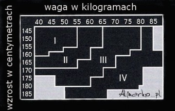 POŃCZOCHY SZEROKA DWUKOLOROWA KORONKA MICHEL.3 1/2