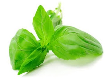 Bazylia SWEET BASIL nasiona 0,5g 250 - 350 nasion!