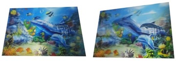 OBRAZ 3D OBRAZKI 3 D DELFIN RAFA MORZE RYBY 25 35