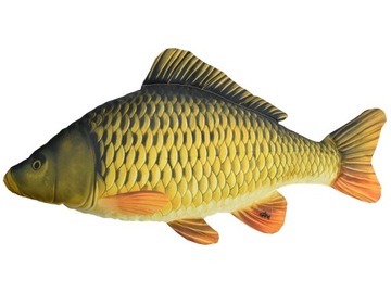 Karp pełnołuski mini (cyprinus carpio) 36 cm