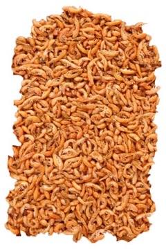 Suszony Kiełż syberyjski Pokarm 100gram kod48