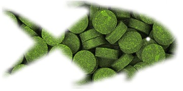 SPIRULINA aż30%! Tabletki ALGENTABLET 50g Glonojad