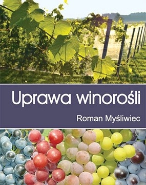 Uprawa winorośli ochrona odmiany choroby winnica