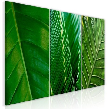 ZESTAW 3 OBRAZÓW OBRAZ ZIELONE LIŚCIE DUŻE DO SALONU SYPIALNI NATURA 120x60
