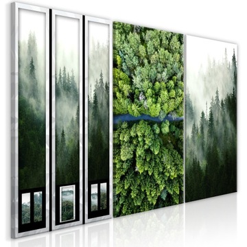 OBRAZ LAS NATURA DRZEWA 3cz 120x60cm c-C-0215-b-e