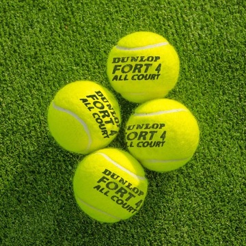 Теннисные мячи DUNLOP FORT All Court T SELECT 4B