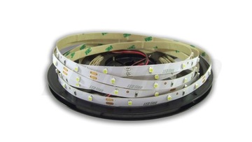 Taśma LED Line 150 2,4 W/m 6500K zimna 12V 1mb