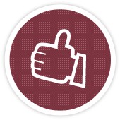 POKROWCE LOGO MIAROWE NOWY IVECO DAILY VI 2014 +