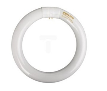 Круглая люминесцентная лампа Philips G10q 22 Вт/840 FV