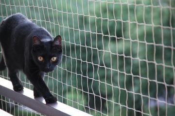 НАБОР БАЛКОННОЙ СЕТКИ ДЛЯ КОШЕК, ПТИЦ, ГОЛУБЕЙ 5Х3 СЕТКИ 50мм БЕЗ СВЕРЛЕНИЯ