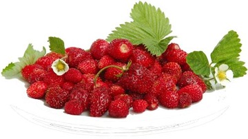 id_156 AROMAT POZIOMKOWY 10g TORT AROMATY