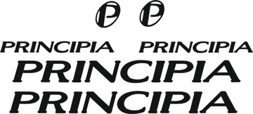 PRINCIPIA naklejki rower 180-3R RÓŻNE KOLORY