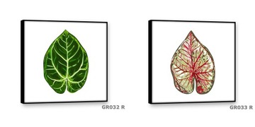 Картины на холсте 40х40 Современная картина ПАЛЬМА