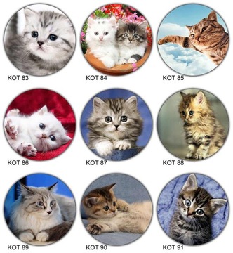 ВОЛНЫ для торта КОТЫ, диаметр 20 см, плотные, насыщенные цвета.