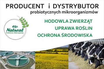 Doktor Animals Probiotyk Dla Gołębi 2L Odporność