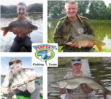 STROFT GTM LINE - 0,14 мм/200м/мощность 2,30 кг