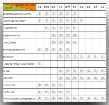 DERMAPEN МОДЕЛЬ 2018 +12 КАРТРИДЖЕЙ PEN GW. 12 месяцев