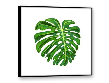 Obrazy na płótnie 50x50 Obraz Nowoczesny LIŚCIE