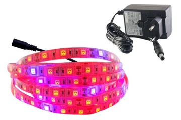 ZESTAW taśma LED 300 GROW IP65 wzrostu roślin 1m