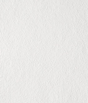 Tapeta do malowania RAUFAZA MITTEL ERFURT 25 mb